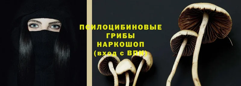 Псилоцибиновые грибы Magic Shrooms  как найти наркотики  Ипатово 